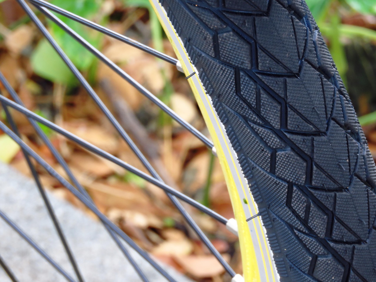 Northern Rail Trail: NH's Longest Multi-Use Path